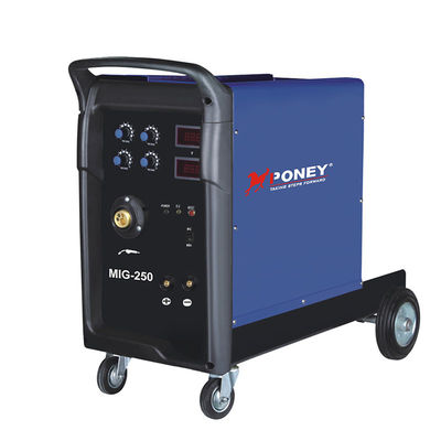 Blue Inverter Handheld ARC Welder DC TIG Aluminium Welder Ws-250